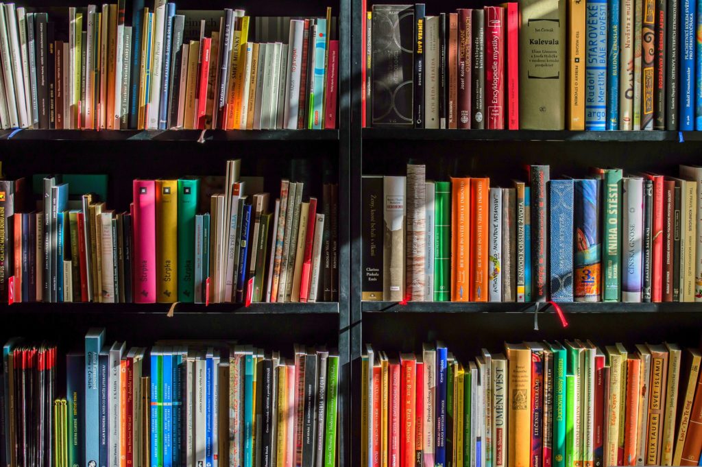 Image de l'article Les bibliothèques font leur rentrée !
