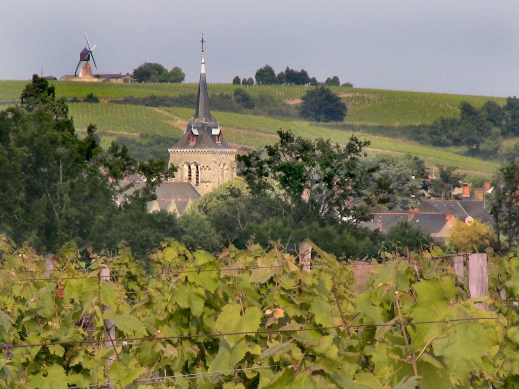 Image de l'article Bellevigne-en-Layon