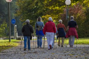 Image de l'article Balade mensuelle à Faveraye-Mâchelles