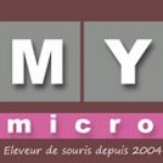 Image de l'article SARL MY MICRO