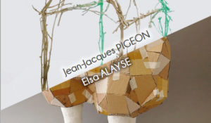 Image de l'article Exposition Elsa Alayse & Jean-Jacques Pigeon
