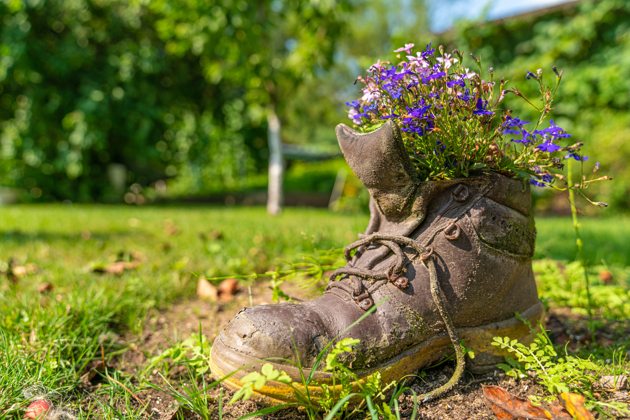 Atelier Souliers plantés, 14h30-16h30 - Derrière la Mairie, Rablay-sur-Layon
