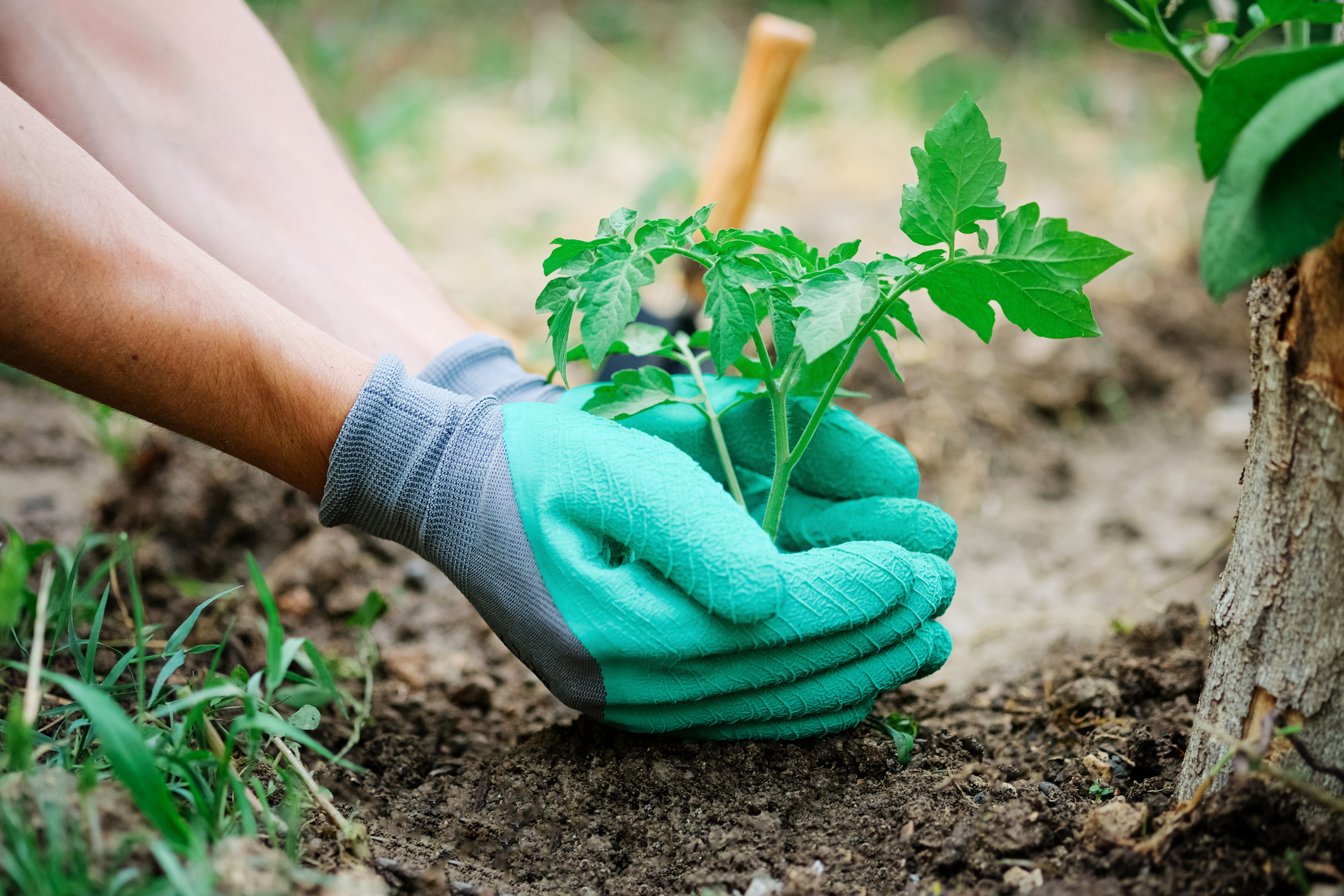 Atelier Jardin partagé, 14h-17h - Devant la bibliothèque, Thouarcé