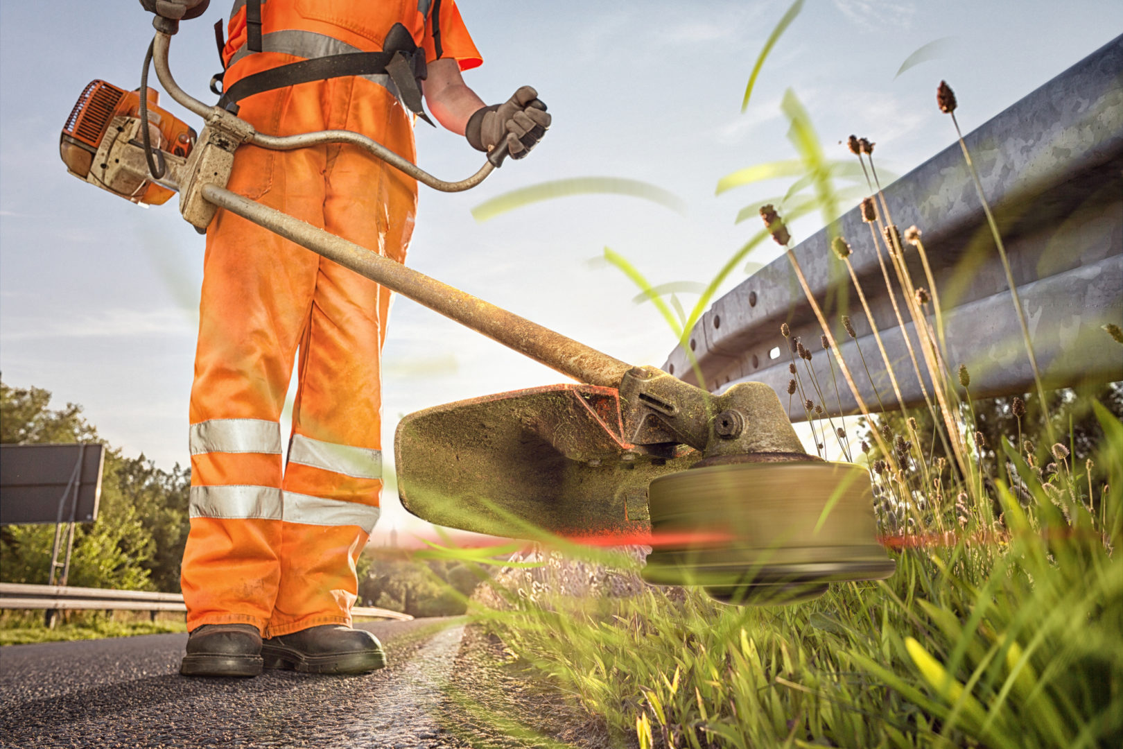 Image de l'article Entretien des espaces verts, fauchage retardés