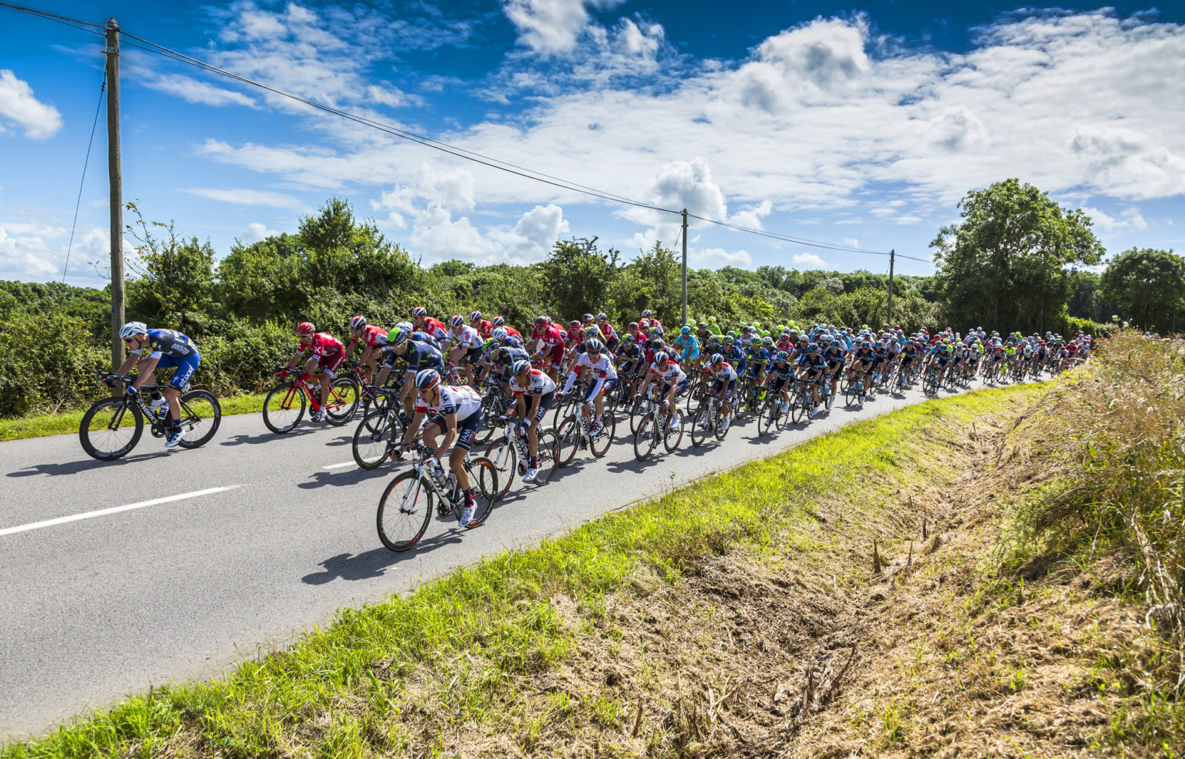 Image de l'article Le Tour de l’avenir passe par Bellevigne