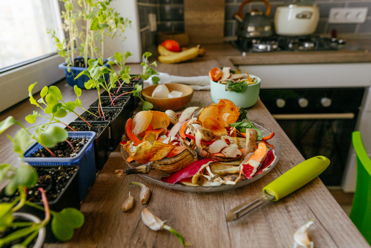 Image de l'article Biodéchets : une ressource pour nos jardins !