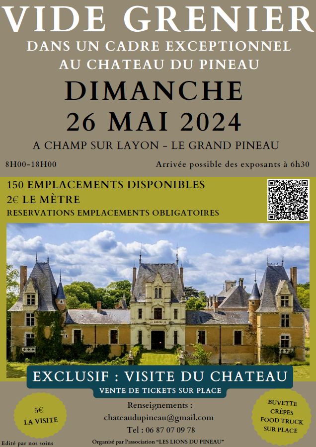 Image de l'article Vide-Grenier au Château du Pineau