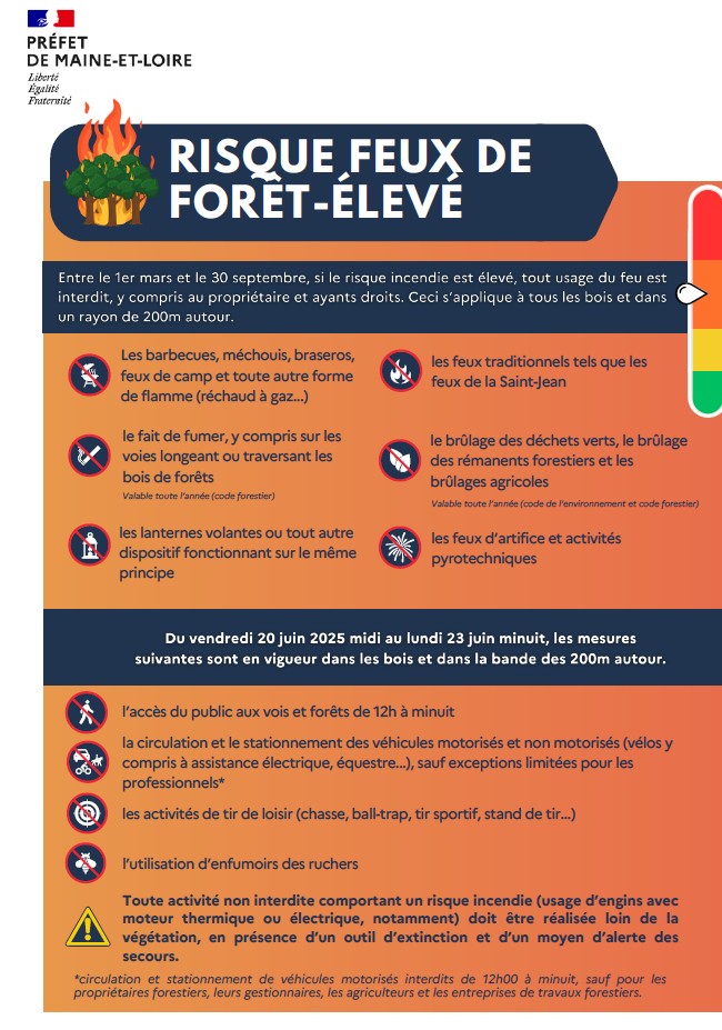 Image de l'article Risque feu de forêts élevé