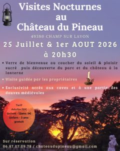 Image de l'article Visites nocturnes – Les Lions du Pineau