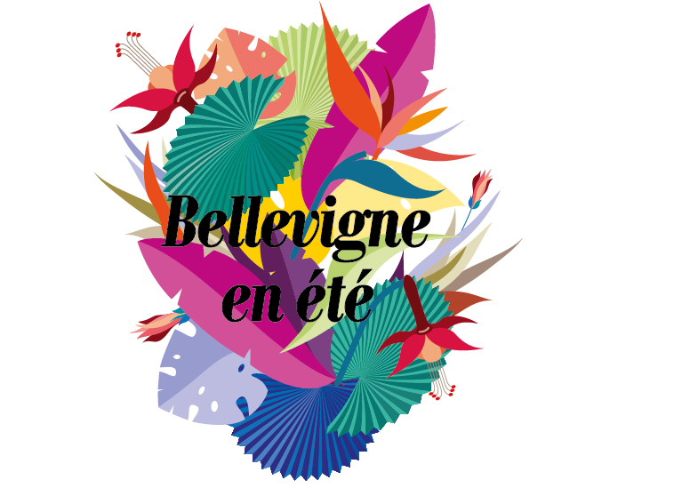 Image de l'article Bellevigne en été