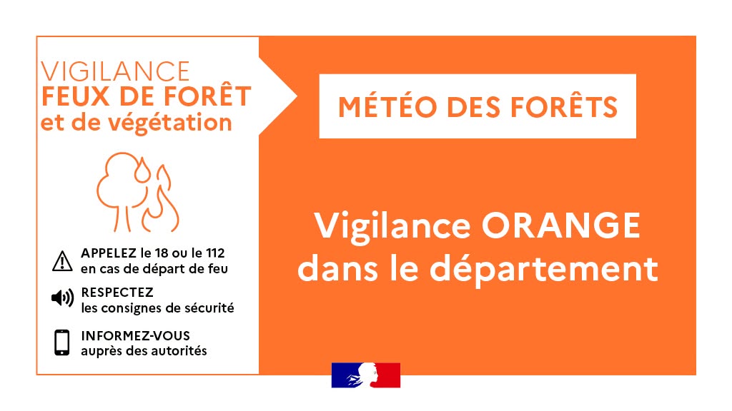 Image de l'article Risques incendies et feux de forêts – vigilance orange (élévée)